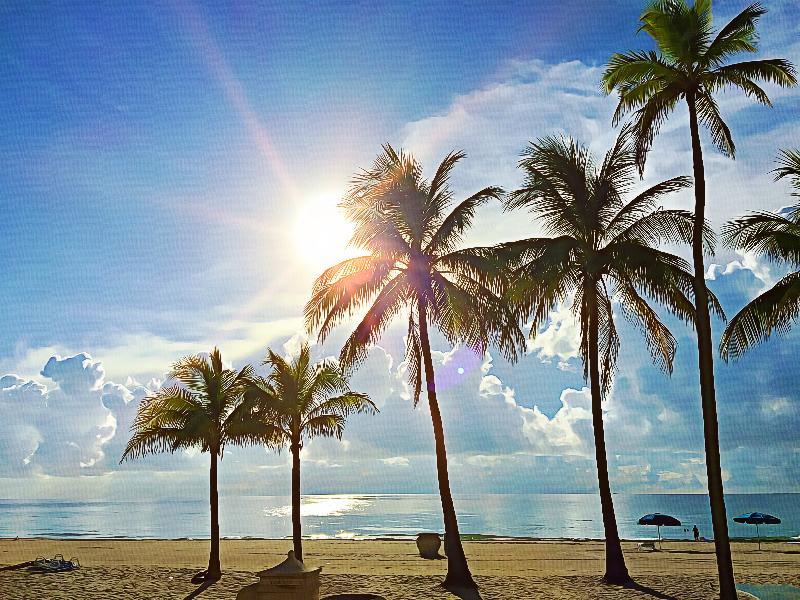 Hollywood Beach Marriott Otel Dış mekan fotoğraf