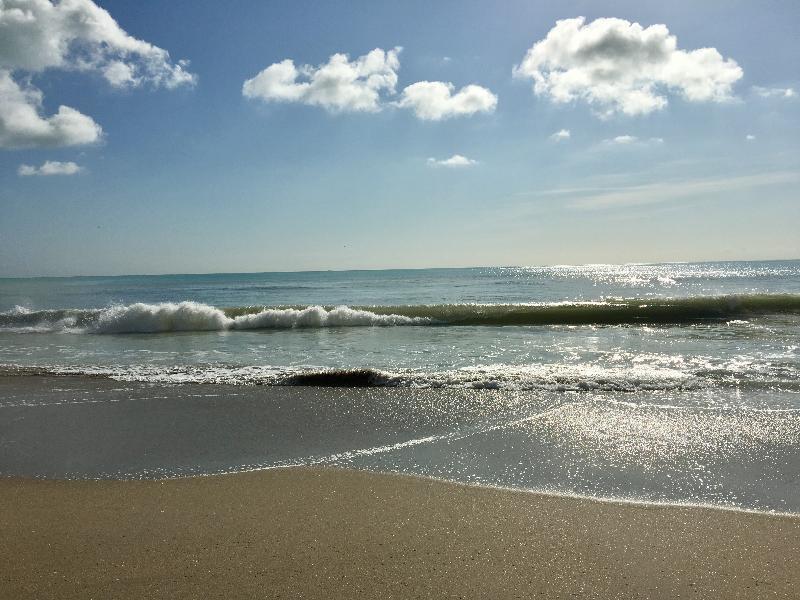 Hollywood Beach Marriott Otel Dış mekan fotoğraf